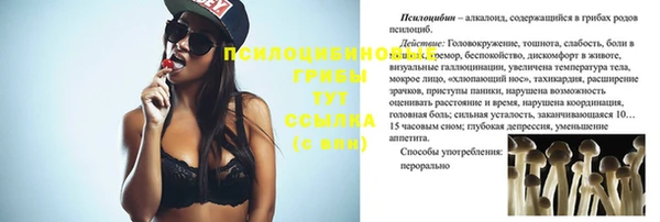 молекула духа Горнозаводск