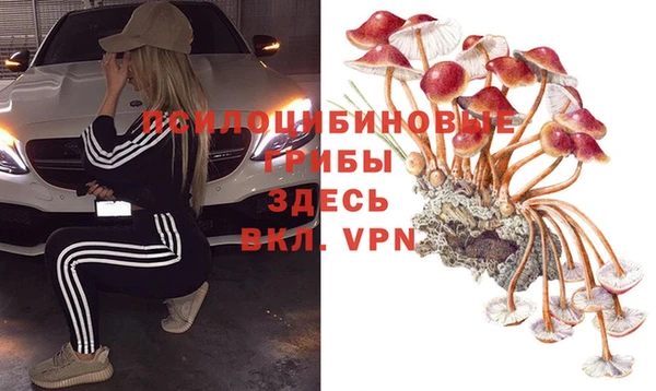 стафф Горняк