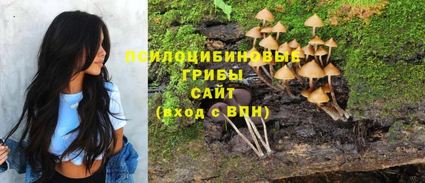 молекула духа Горнозаводск
