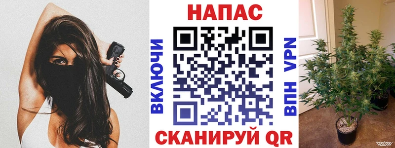 купить наркотики сайты  Мценск  Марихуана Amnesia 